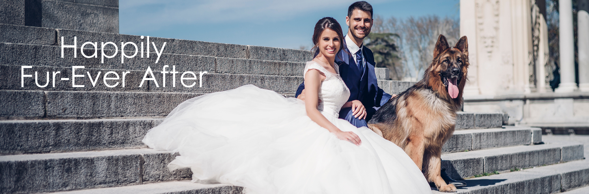 pets at weddings Happily Fur-ever After couple