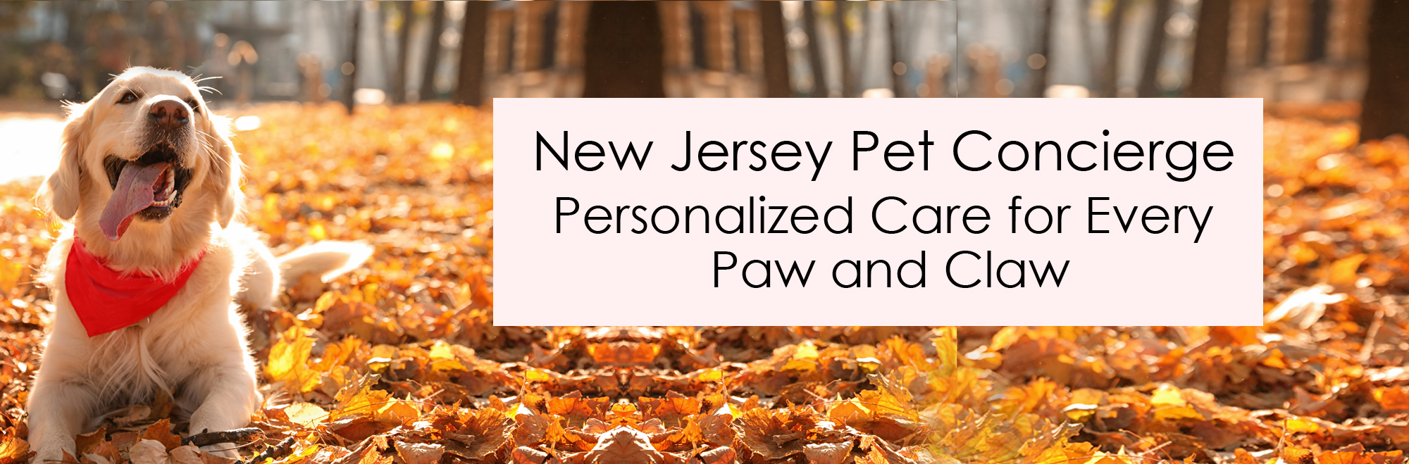 pet sitting northern new jersey services